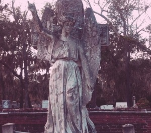 cemeteryangelrose